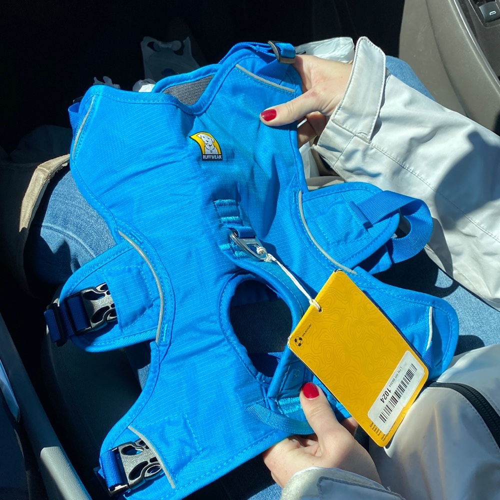 Ruffwear Dog Harness
